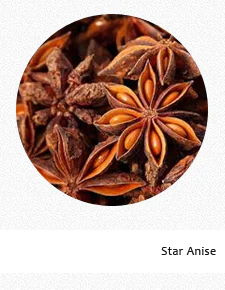 Star Anise