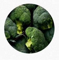 Broccoli