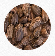 Black Cardamom ( Badi Elaichi)