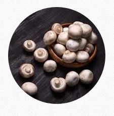 Button Mushroom