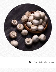 Button Mushroom
