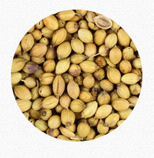 Coriander Seeds Whole (Dhania)
