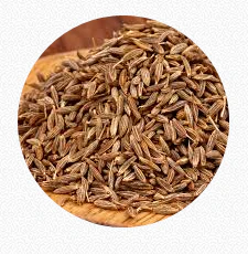 Cumin Seeds (Jeera)