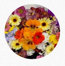 Edible Flowers