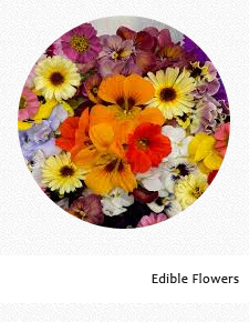 Edible Flowers