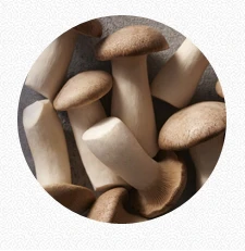 King Oyster Mushrooms