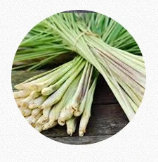 Lemon Grass