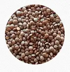 Masoor Dal Whole