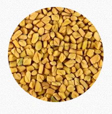 Methi (Fenugreek Seeds)