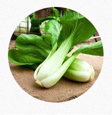 Pak Choi