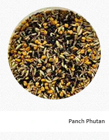 Panch Phutan