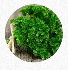 Parsley
