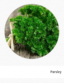 Parsley