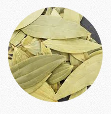 Bay Leaf (Tej Patta)