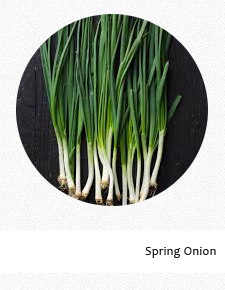 Spring Onion